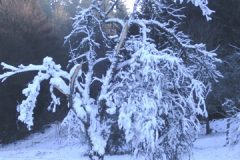 SAMSUNG DIGITAL CAMERA