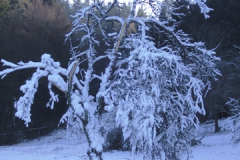 SAMSUNG DIGITAL CAMERA